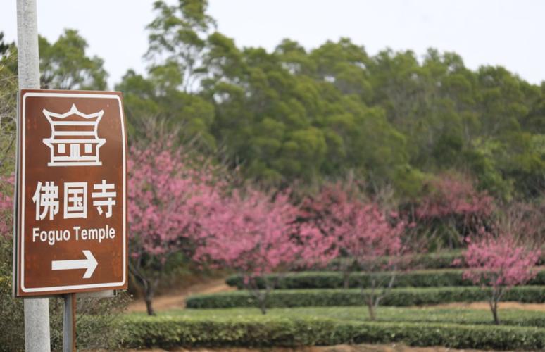 佛国寺隆重举行己亥年大悲法会圆满尾供