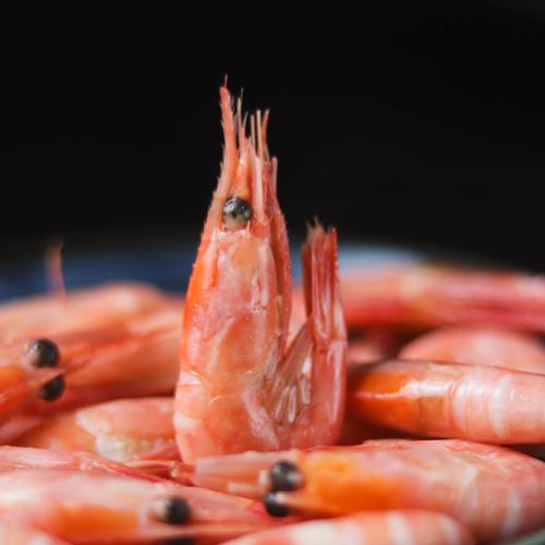 水产鲜活大虾北极熊虾子即食北极号头