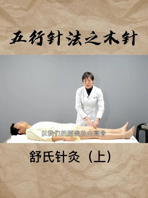 舒氏针灸五行针法之木针 (上)针法教学_针灸_五行_中医_养生_学习