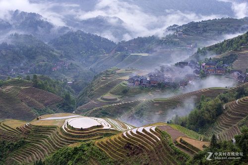 龙胜梯田