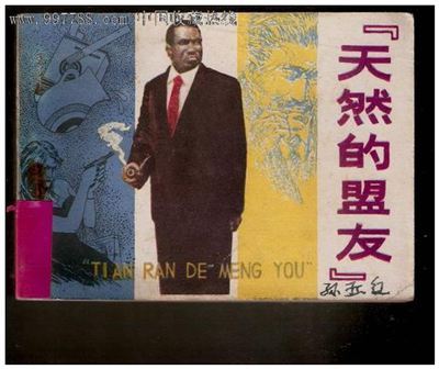 盟友是什么意思