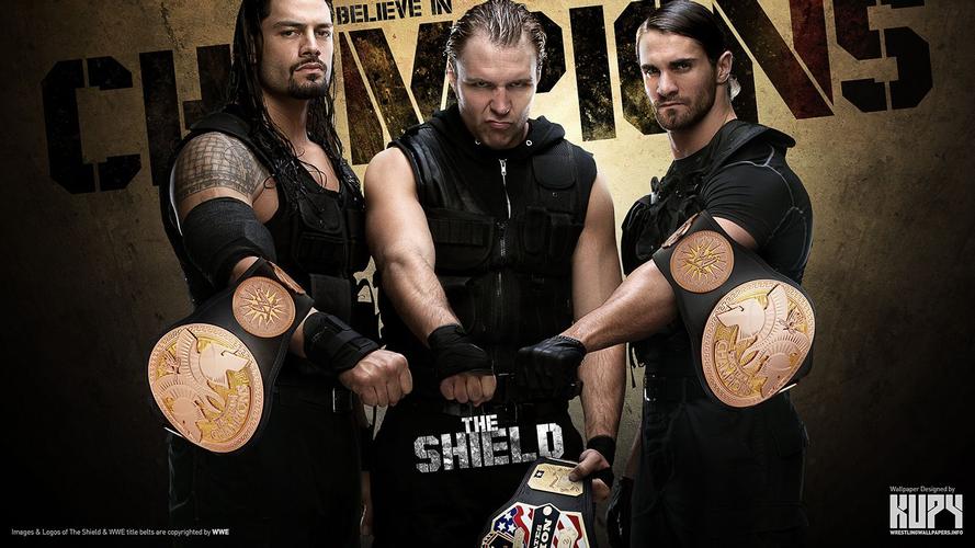 wwe捍卫者壁纸,不要告诉我自己找,最好发图,好的加分