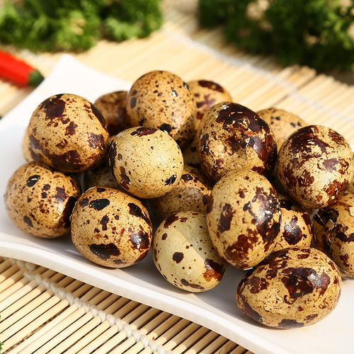 五香鹌鹑蛋蛋类零食旅游聚会必备零食卤制品休闲零食批发代加工