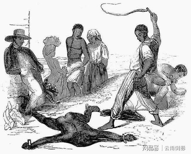 黑人奴隶在贩奴船上有多怂?被白人虐待,宁愿自杀也不敢反抗