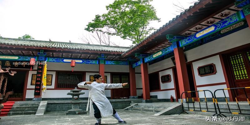 九龙道长八字教程(小道士隐居深山) - 天华易学