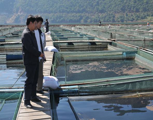 水产养殖学专业就业前景和大学排名解读