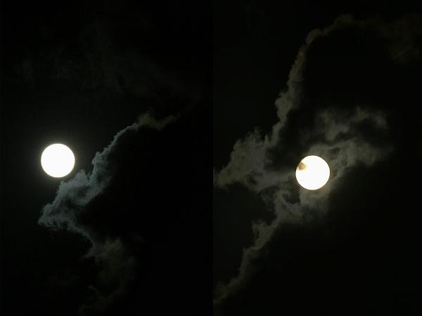 山羊:今年十五的月亮又大又圆,月亮里的嫦娥和玉兔,你们看到了吗?