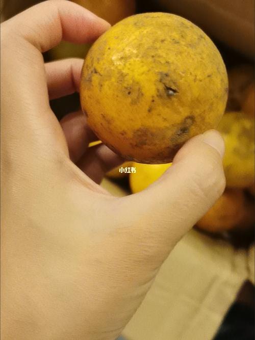 拼多多一品鲜皇帝柑踩雷_美食_测评_美食_美食展示