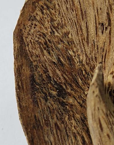 海南虎斑奇楠沉香