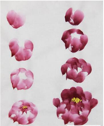 中国画的牡丹初绽画法?