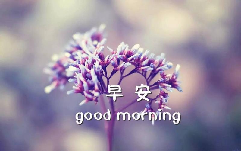 文字图片,早安,文字,温暖,电脑壁纸,壁纸good morning早安图片带字