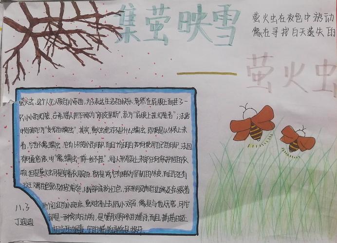 展现学生风采——临沭县第一初级中学八年级开展"《昆虫记》知识卡片"