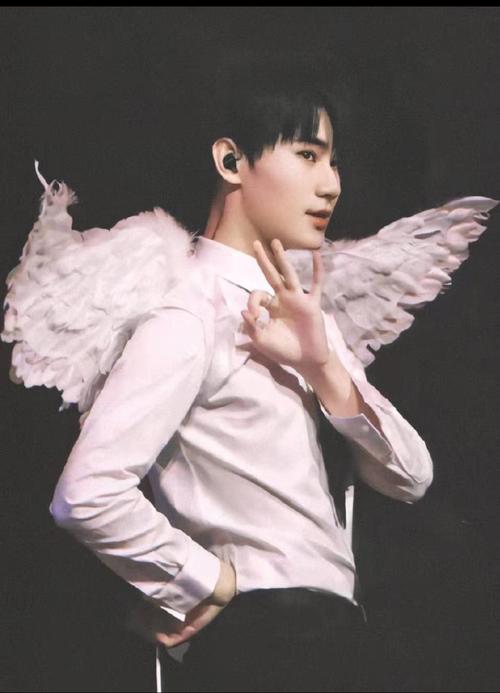 全能偶像张真源,燃爆全场吉他手,音域宽广音色魔王,舞蹈力.