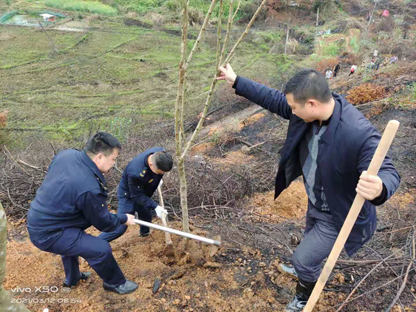 炎陵县城管局义务植树共建"绿水青山"