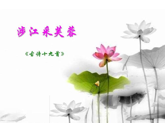 涉江采芙蓉ppt