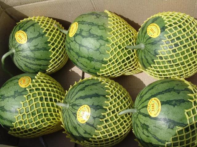 黄瓤西瓜特小凤口感细腻,多汁