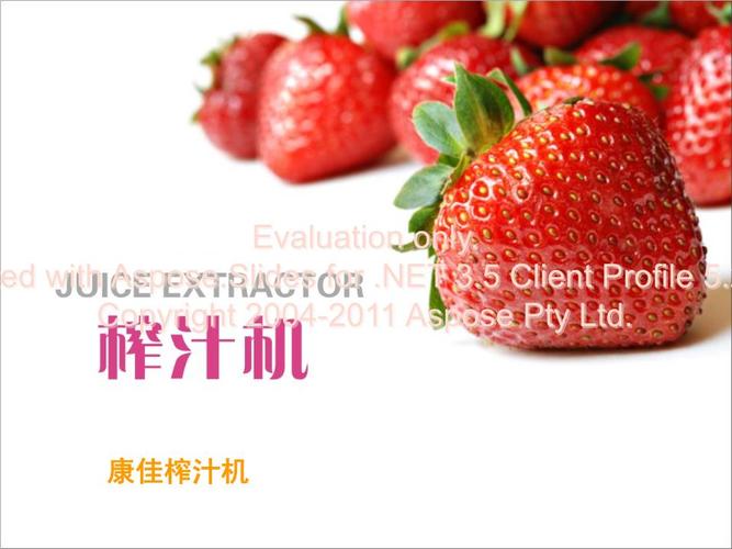 《品牌榨汁机排行榜.ppt