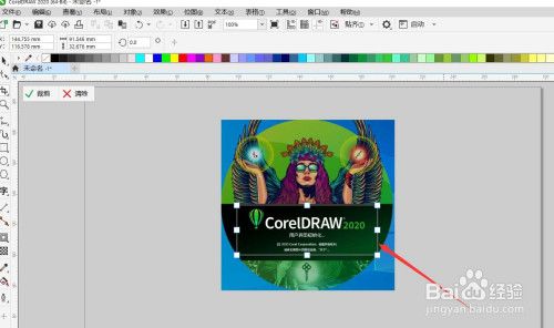 coreldraw 如何裁剪图片