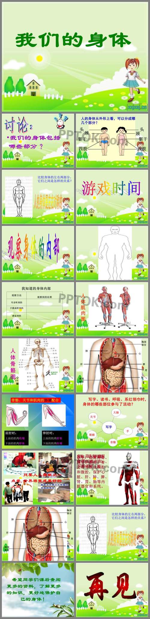教科版科学观察我们的身体ppt