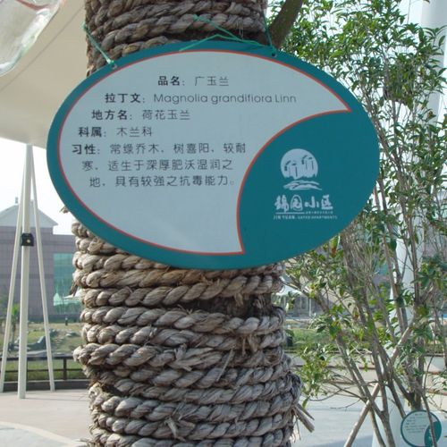不锈钢树牌树名牌二维码介绍定做树木介绍牌树木名称标识标牌厂家