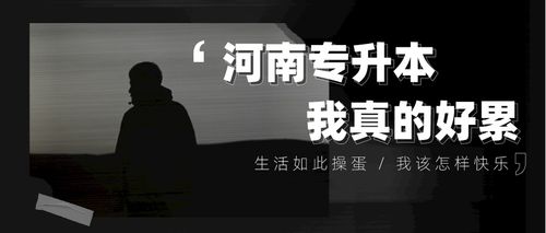 备考河南专升本我真的好累