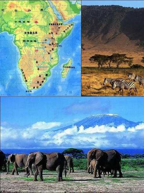 世界二十二大高原上篇