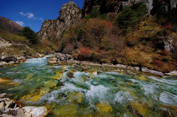 它才是真正的"西藏江南",来了一次便忘不了!_亚东县