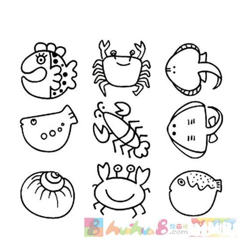 海洋简笔画图片大全大图小动物