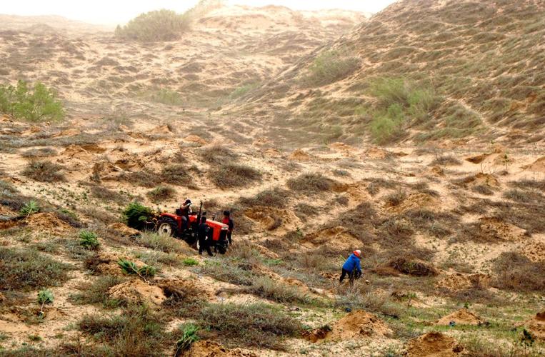 科尔沁沙地新貌:绿色家园人与自然和谐共生