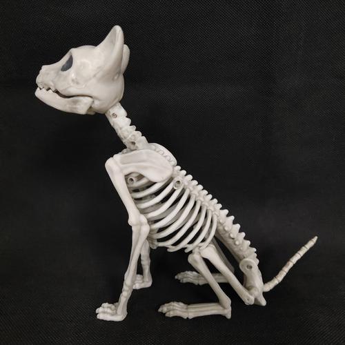 动物骨架猫骷髅摆件 恐怖装饰 特色鬼屋道具摆设万圣