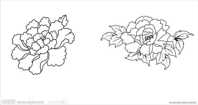 牡丹花矢量图简笔画的搜索结果_百度图片搜索