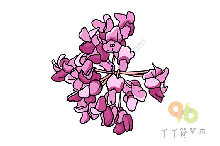 一步一步画紫荆花简笔画-儿童简笔画大全