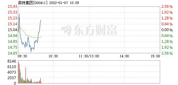 英特集团1月7日快速反弹