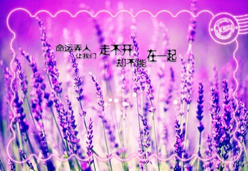 传递爱心正能量的句子经典语句