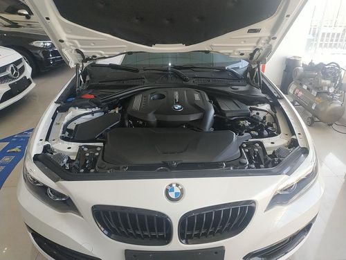 宝马2系 2019款 225i 运动设计套装(进口)