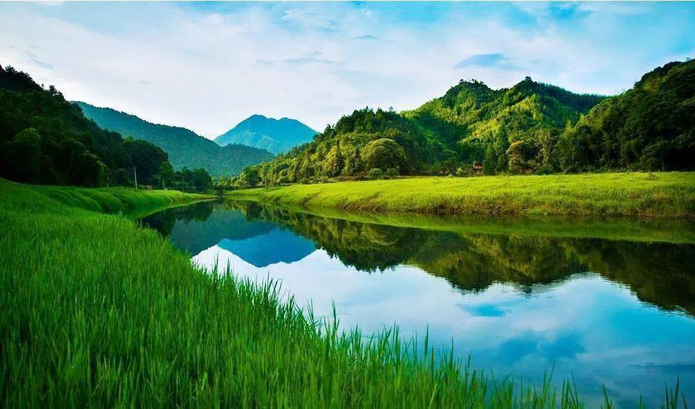 "绿水青山就是金山银山"如何走进乡村振兴的实践中