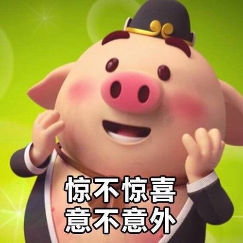 逗比的猪小尼斗图表情包