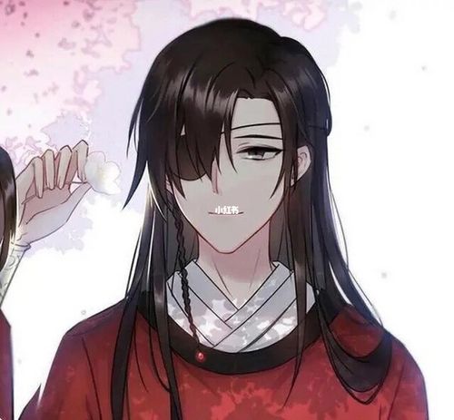 天官赐福,百无禁忌,cp头像,花城×谢怜_头像_天官赐福