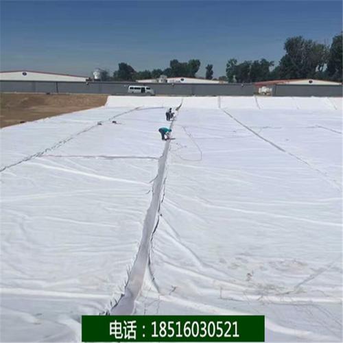 两布一膜一布一膜复合土工膜鱼塘景观池护坡防渗耐腐蚀hdpe防渗膜