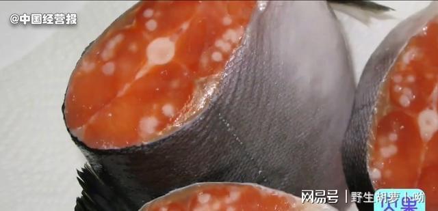 最恶劣的乱倒垃圾!日本核废水污染扩散,以后不能吃海鲜了?