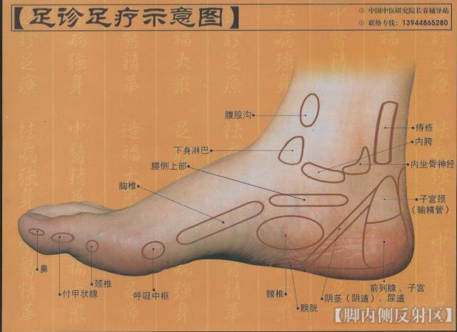 护垫疗法疏通经络方案