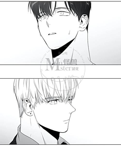 《爱慕的少年》每次回想起幸福的时刻,最先想起的就是