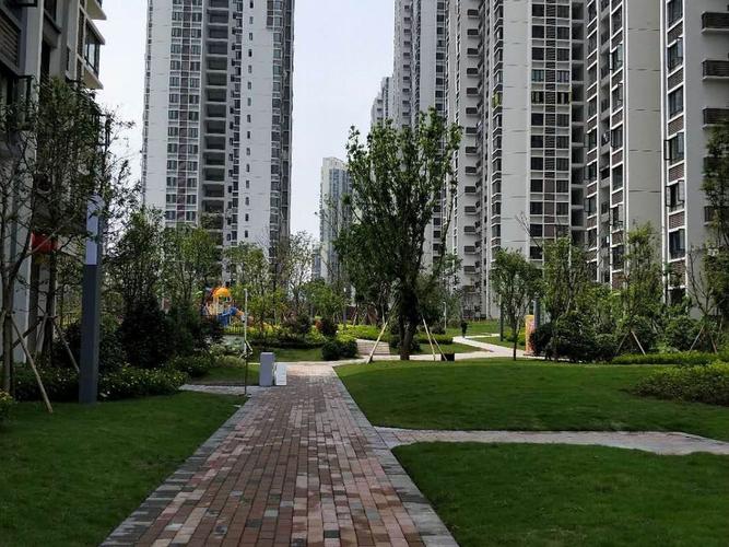 大学城 富力城书香里两房95万二手房整栋全景图