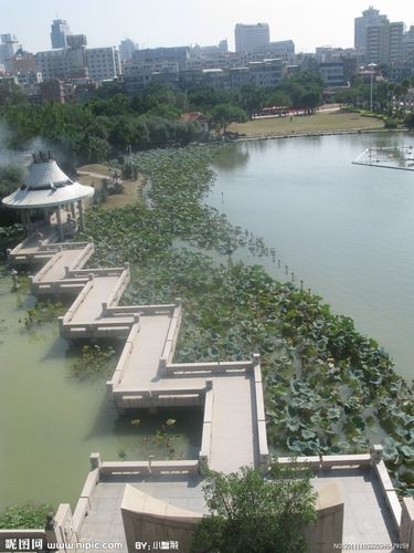 泉州西湖公园图片
