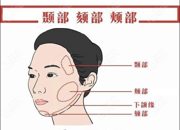 颞部的具体位置