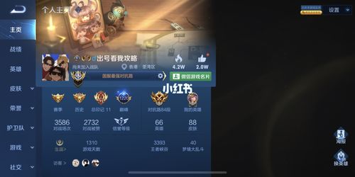 国服对抗路_王者_游戏_手机游戏