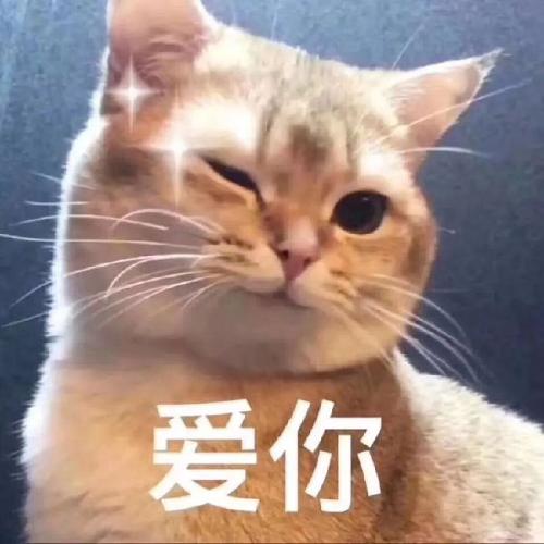 好笑吗?一天到晚哈哈哈哈哈丨第207期猫咪表情包