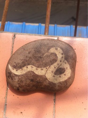 人间奇石《蛇型》.请问是怎么形成的,价值?