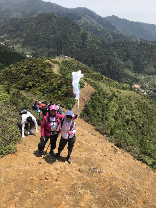 高州大水坑顶赏花