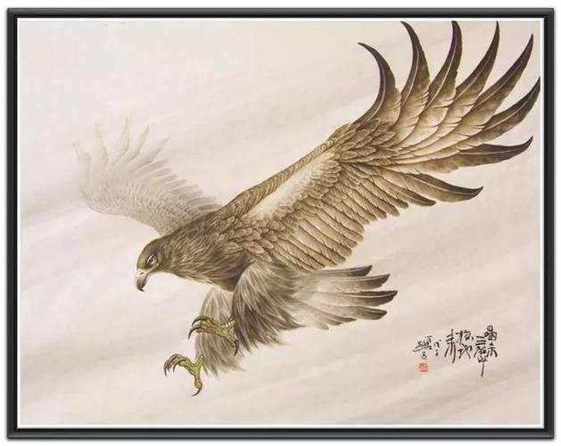 鹰姿百态 